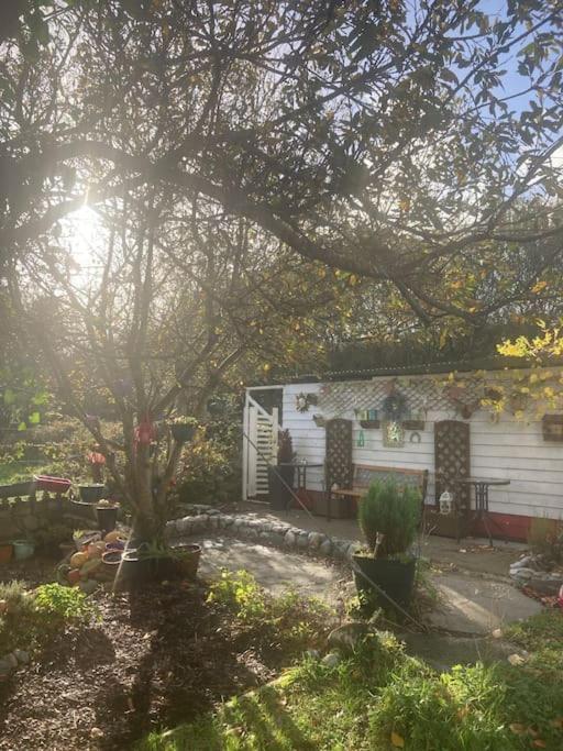 The Potters Cottage Clifden Exterior foto
